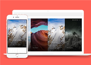 攝影網(wǎng)站案例5