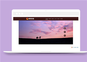 商務(wù)網(wǎng)站案例2