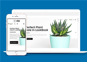 商城網(wǎng)站案例1