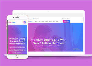 交友網(wǎng)站案例1