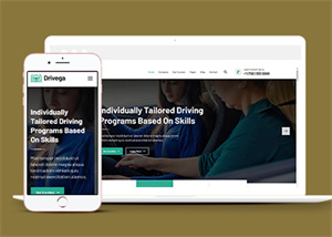 汽車網(wǎng)站案例1