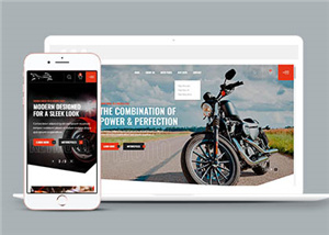 汽車網(wǎng)站案例2