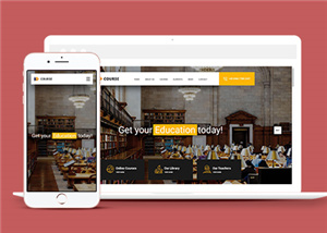 教育網(wǎng)站案例5