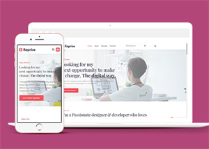 企業(yè)網站建設案例7