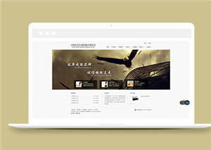 企業(yè)網站建設案例9