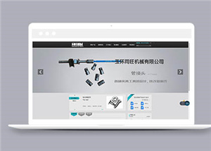 企業(yè)網站建設案例11
