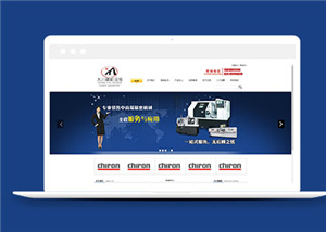 企業(yè)網(wǎng)站建設(shè)案例30