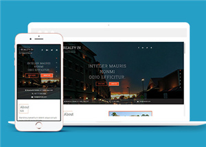 企業(yè)網站建設案例34