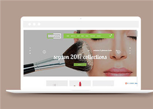 商城網站建設案例12