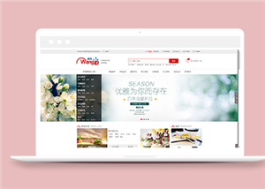 商城網(wǎng)站建設案例22