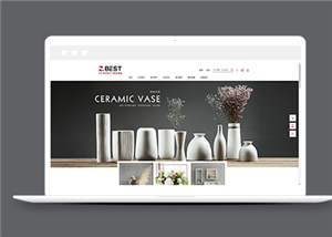 商城網(wǎng)站建設案例29