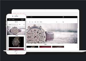 商城網(wǎng)站建設(shè)案例54
