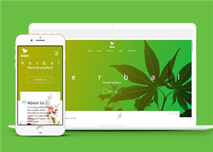 美容網(wǎng)站建設案例14