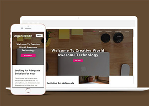 商務(wù)網(wǎng)站建設(shè)案例11