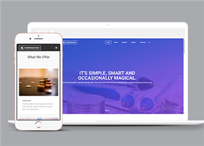 商務(wù)網(wǎng)站建設(shè)案例21