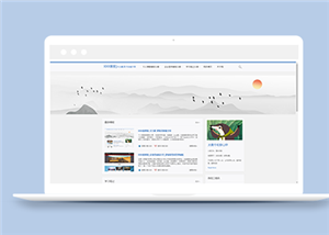 博客網(wǎng)站建設(shè)案例30