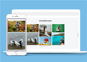 攝影網(wǎng)站建設(shè)案例13
