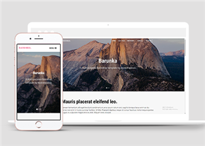 攝影網(wǎng)站建設(shè)案例15