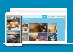 攝影網站建設案例9