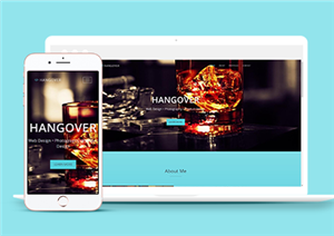 攝影網(wǎng)站建設(shè)案例32