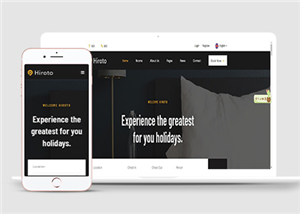 酒店網(wǎng)站建設案例37