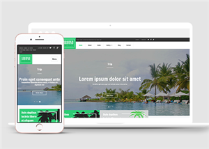 酒店網(wǎng)站建設案例38