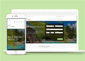 酒店網(wǎng)站建設案例42