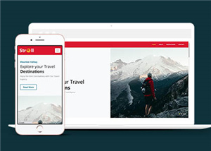 旅游網(wǎng)站建設(shè)案例8