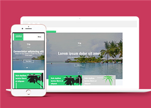 旅游網(wǎng)站建設(shè)案例19