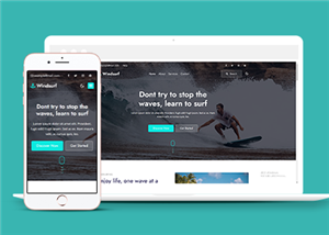 體育網(wǎng)站建設案例11