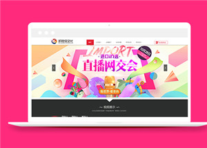 企業(yè)網(wǎng)站建設(shè)案例64