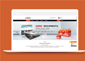 企業(yè)網(wǎng)站建設(shè)案例65