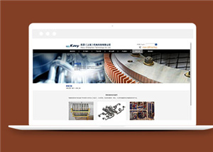 129號外貿(mào)黑色經(jīng)典時尚綜合購物商城建設(shè)，可定制各種風(fēng)格，自適應(yīng)前端
