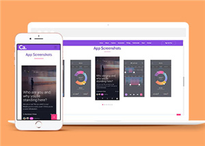 187紫色英文版軟件開發(fā)網(wǎng)站建設(shè)，中文商城APP以及小程序開發(fā)