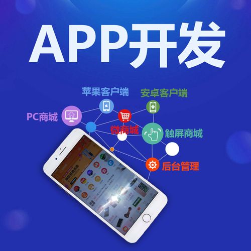 企業(yè)在選擇商城app開發(fā)該如何選擇開發(fā)方式呢？有什么不同？