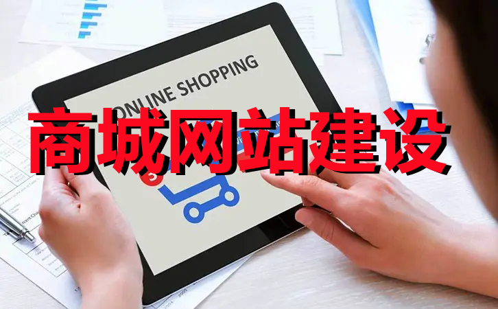 <b>電商網(wǎng)站建設(shè)關(guān)于程序應(yīng)用與數(shù)據(jù)庫服務(wù)器的選擇條件</b>