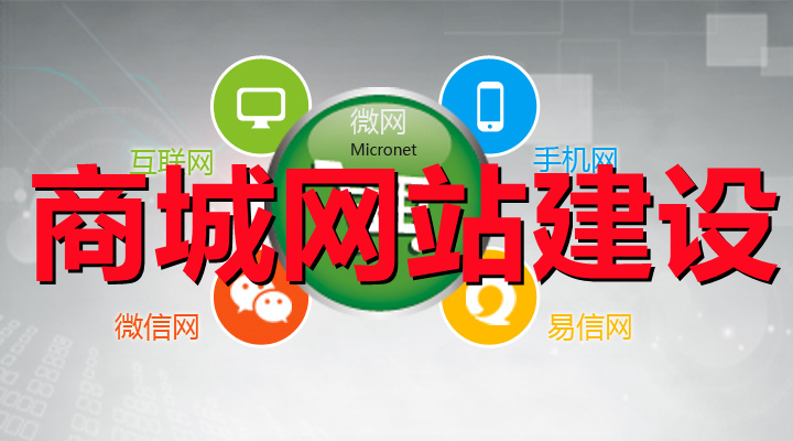 <b>商城網(wǎng)站建設(shè)關(guān)于網(wǎng)絡(luò)設(shè)備與系統(tǒng)集成的差別詳解</b>