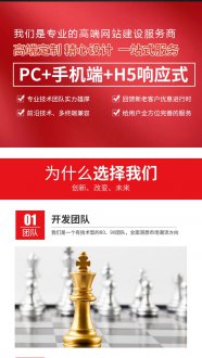 <b>進(jìn)口跨境網(wǎng)站建設(shè)解決方案之當(dāng)前蜜芽與考拉模式分析</b>