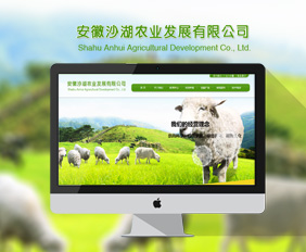 安徽沙湖農(nóng)業(yè)