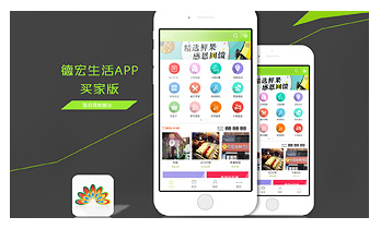 德宏生活APP設計案例