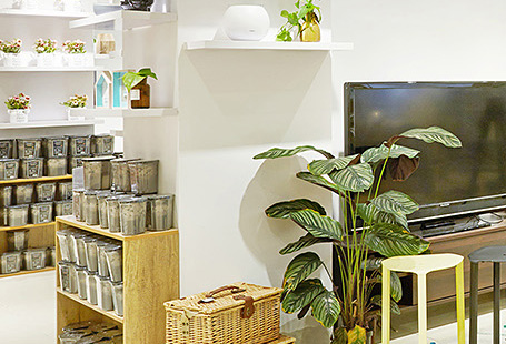 一五一十網(wǎng)站項(xiàng)目建設(shè)制作中