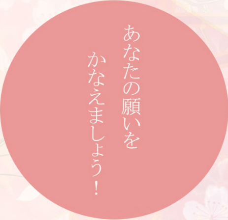 傅月和風(fēng)教育網(wǎng)站項(xiàng)目建設(shè)制作中