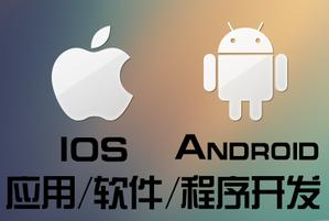 APP開發(fā)公司淺析有哪幾種錯誤性數(shù)據(jù)