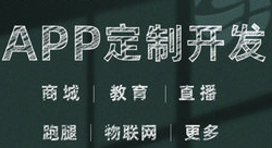 APP開發(fā)公司淺析為什么APP營銷發(fā)展迅速？