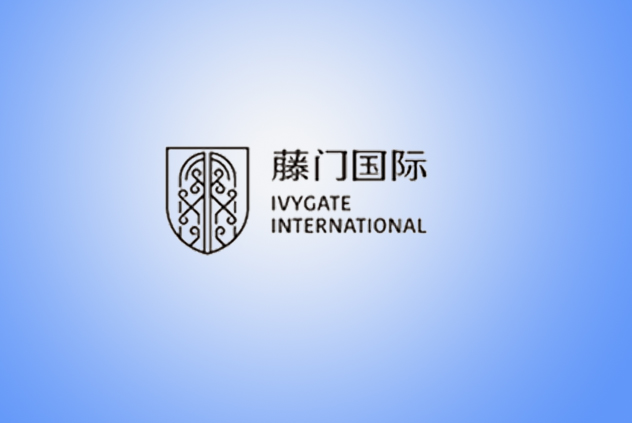 藤門國際品牌網(wǎng)站建設(shè)制作中